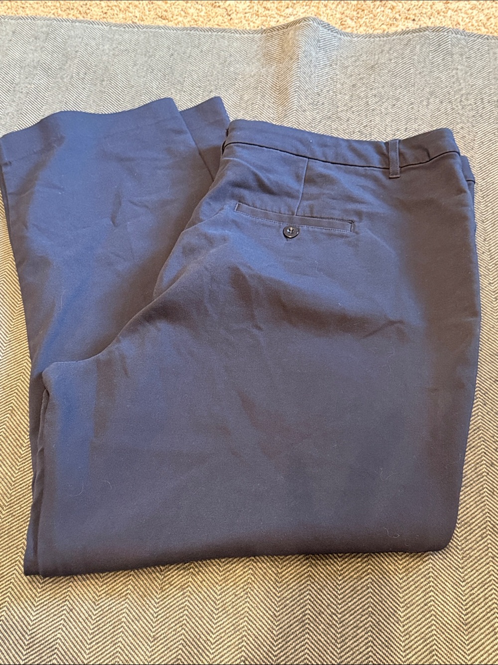 CJ Banks Navy Chino Pants for Women